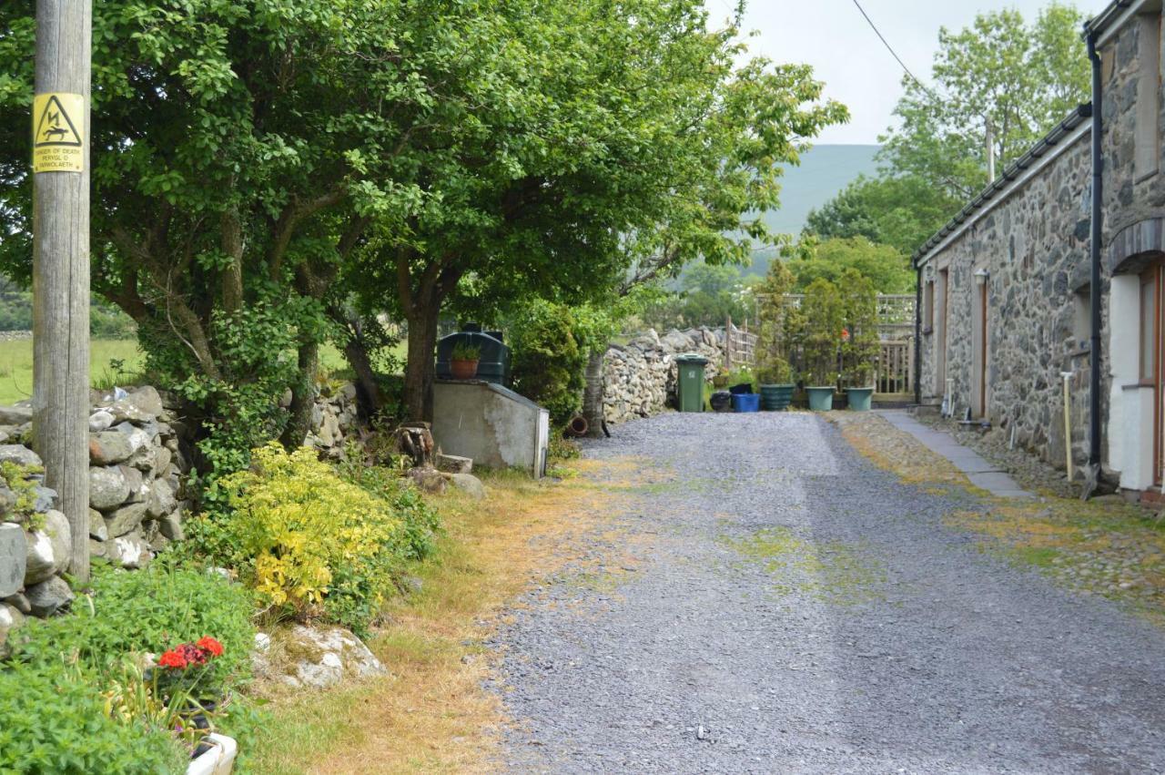 Beudy Bach And Beudy Mawr Mountainstudios Bangor (Gwynedd) Exterior foto