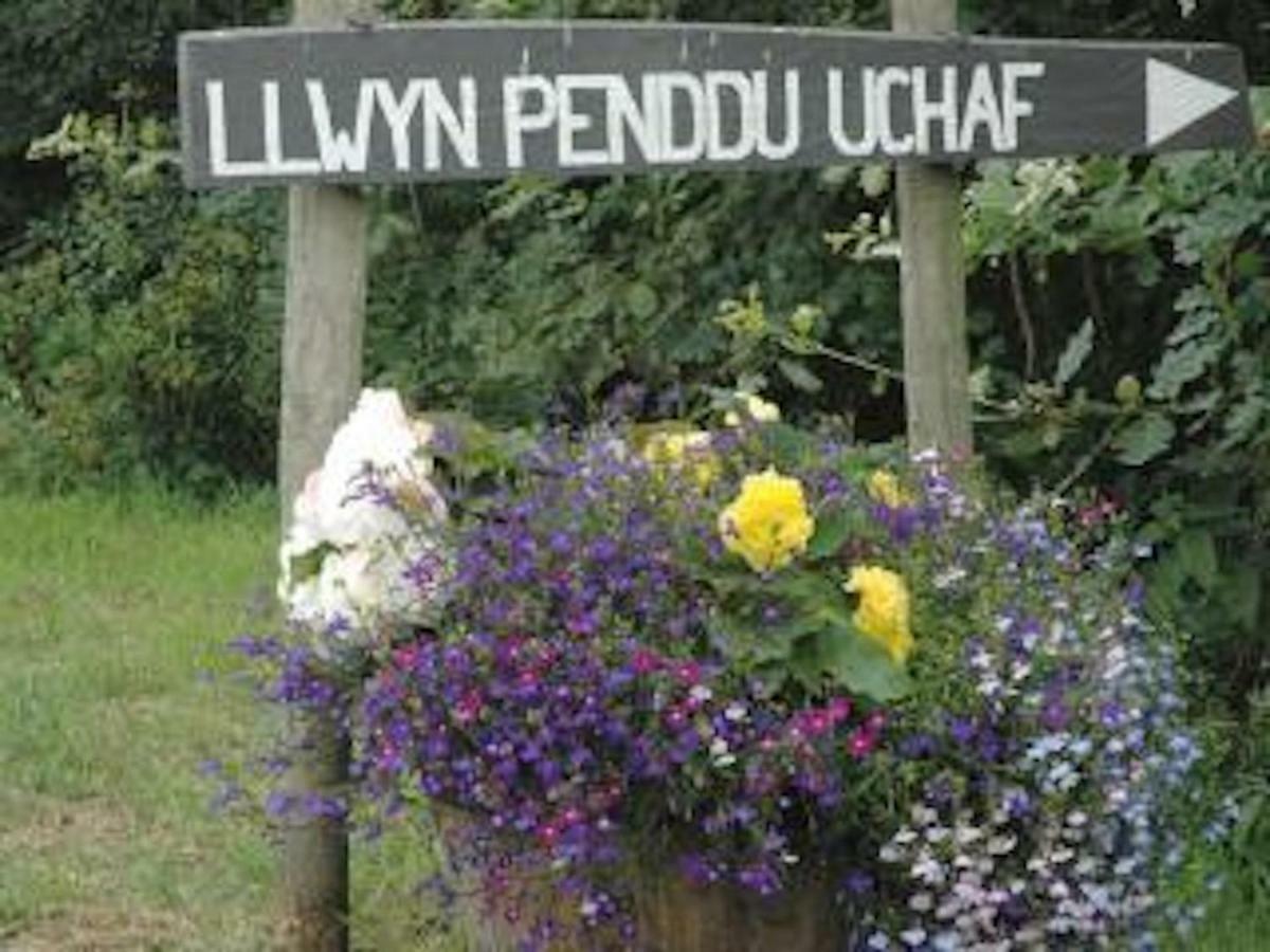 Beudy Bach And Beudy Mawr Mountainstudios Bangor (Gwynedd) Exterior foto