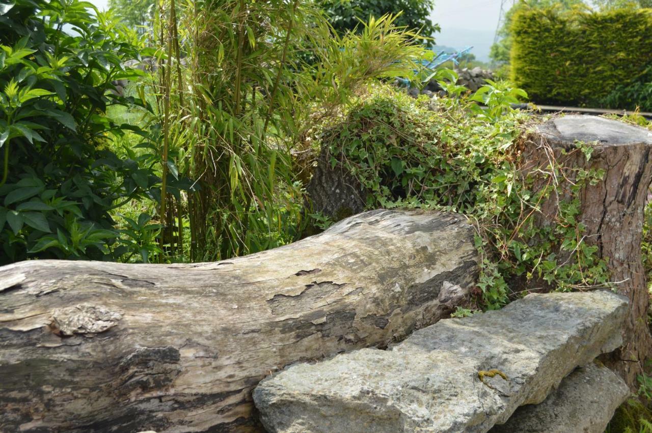 Beudy Bach And Beudy Mawr Mountainstudios Bangor (Gwynedd) Exterior foto
