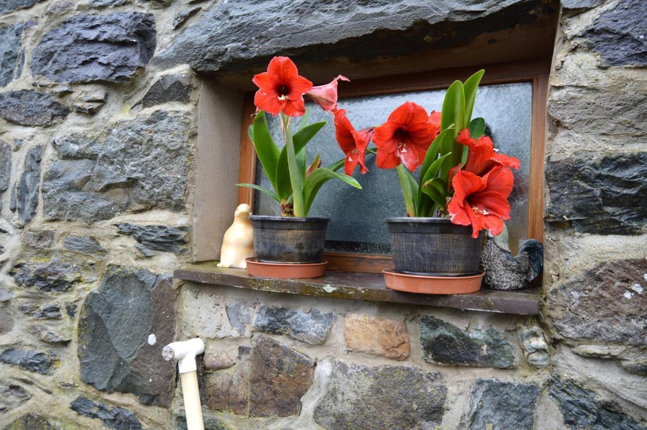 Beudy Bach And Beudy Mawr Mountainstudios Bangor (Gwynedd) Exterior foto